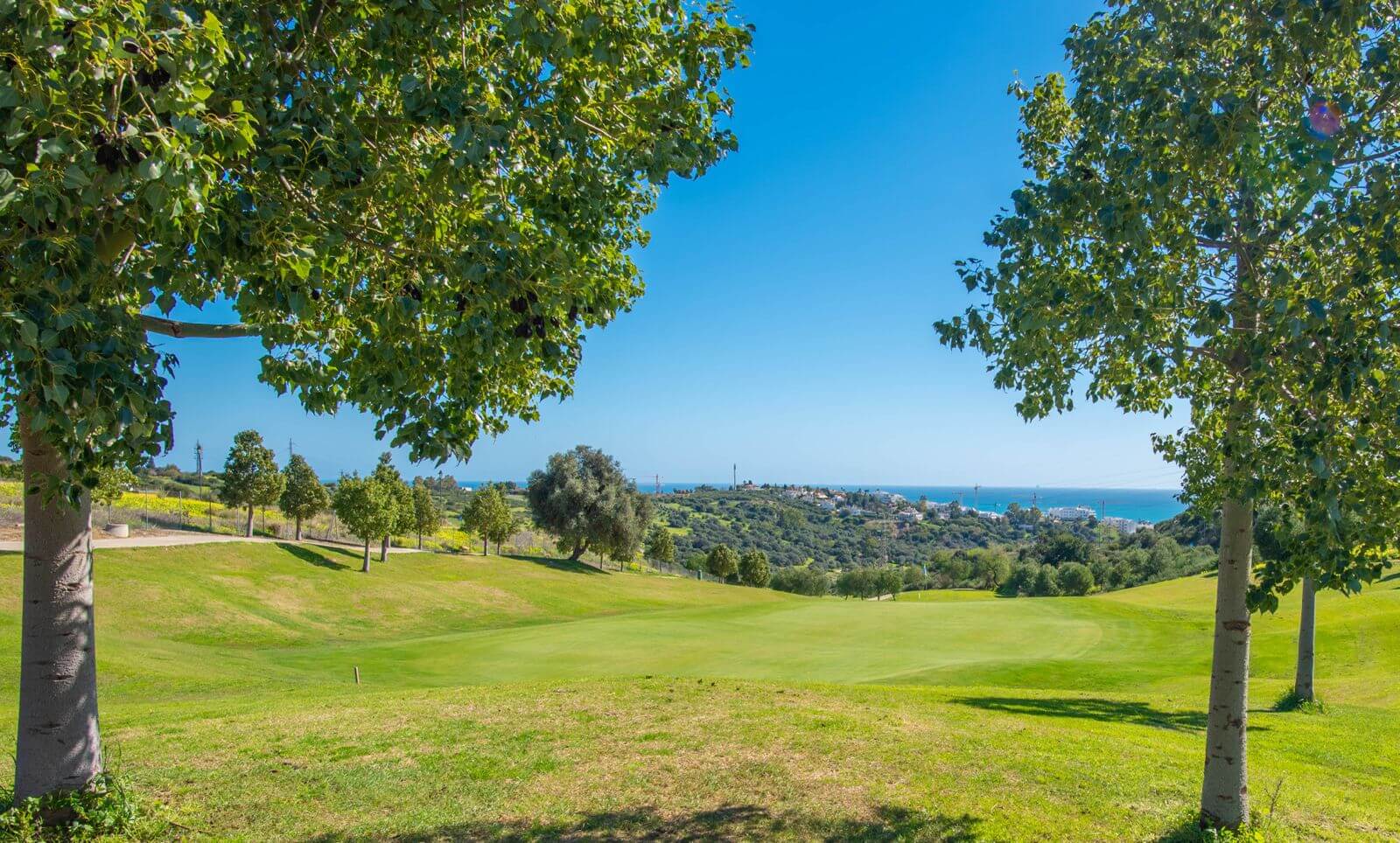 Amaris Villas Estepona (3)